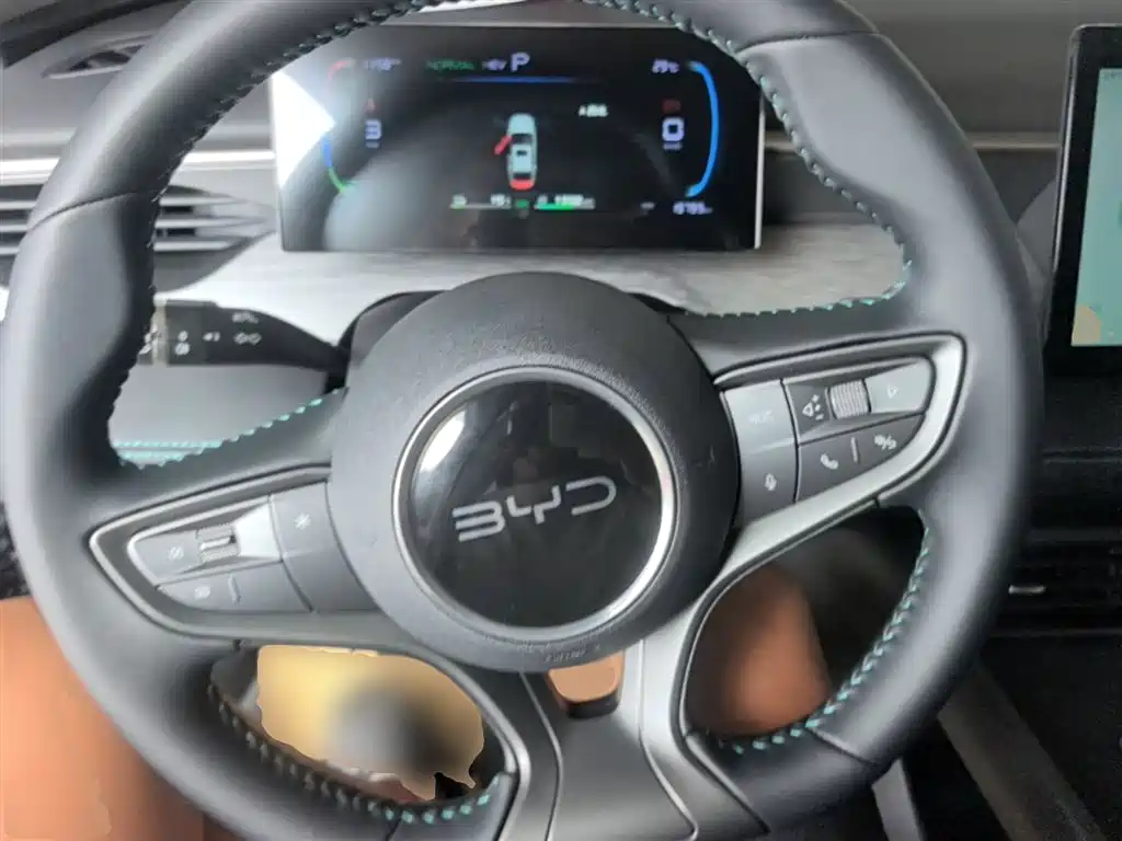 BYD Hai Bao 05 DM-i 2025 DM-i Smart Drive Edition 55KM Luxury фото 11