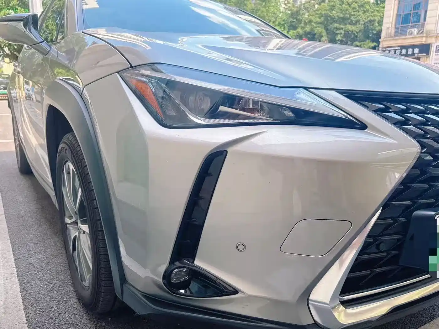 Lexus UX Electric 2022 2020 300e Pure Yue Edition