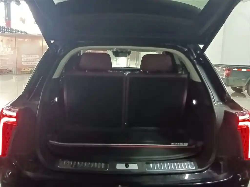 Hongqi E-HS9 2021 510km Flagship Comfort 6-seater фото 19