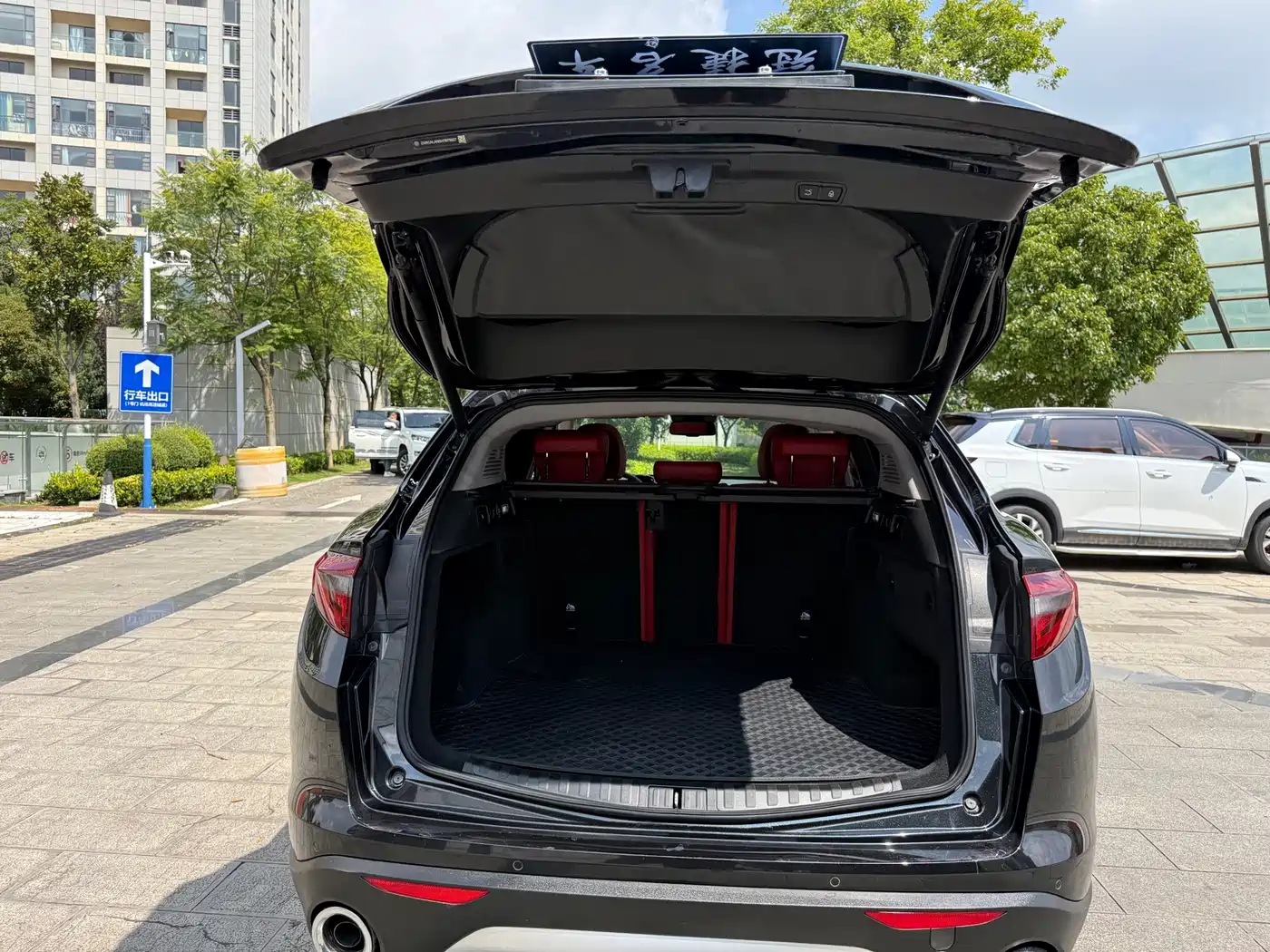 Alfa Romeo Stelvio 2019 2017 2.0T 200HP Luxury Edition