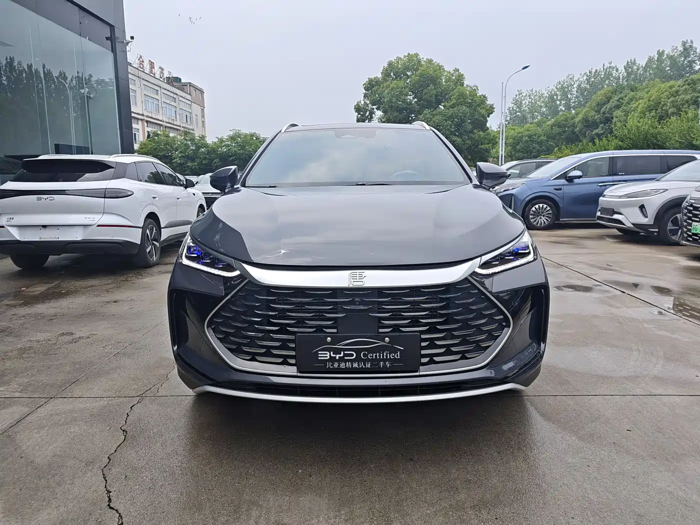 BYD Tang New Energy 2024 DM-i Honor Edition 112KM Premium фото 2