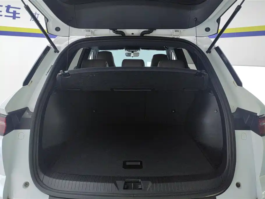 BYD Song Pro New Energy 2024 Glory Edition DM-i 71KM Pilot фото 4