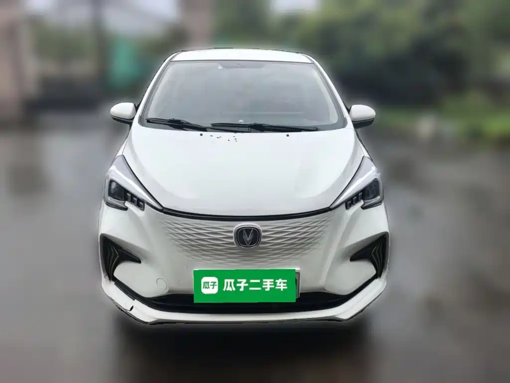 Changan Benben E-Star 2021 2020 Heartbeat Edition (NMC Battery)