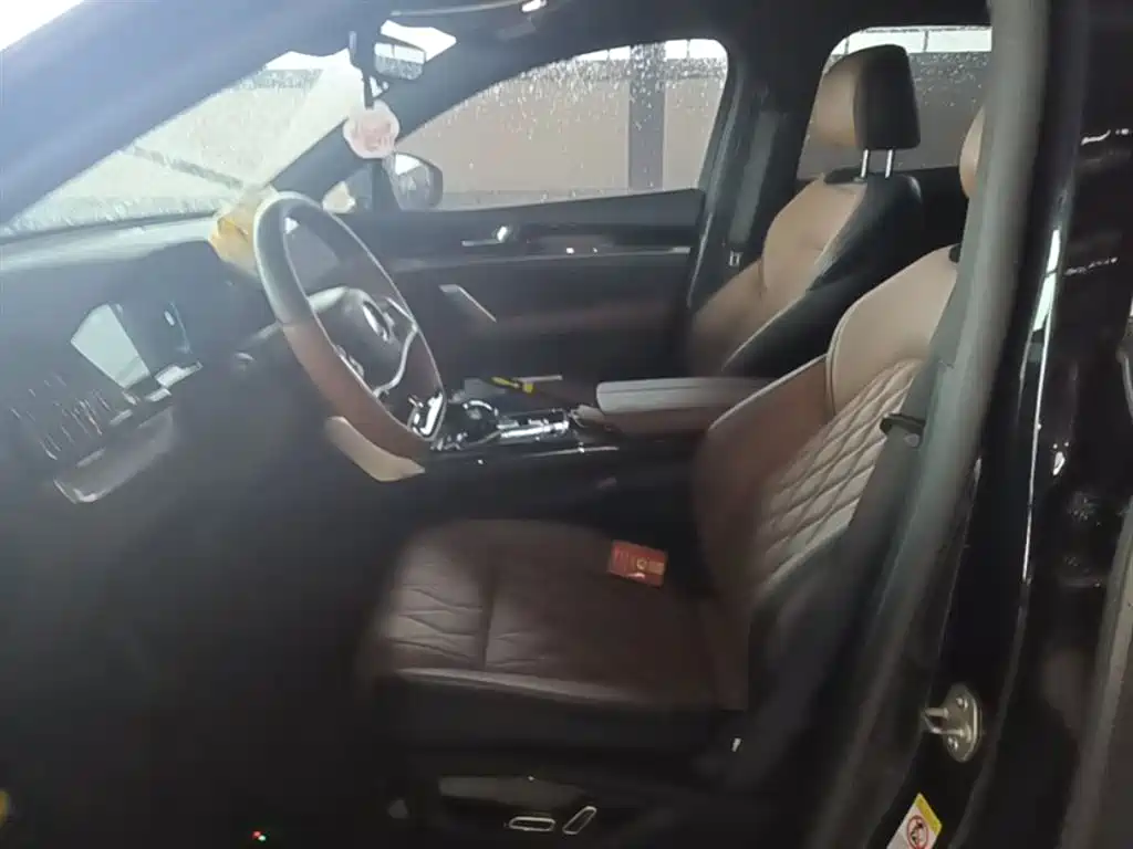 BYD Tang New Energy 2021 DM-i 112KM Premium фото 15