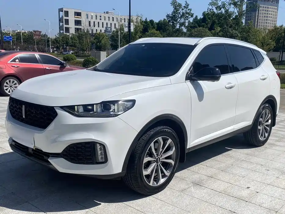 WEY VV6 2018 2018 2.0T 2WD Super Luxury China V
