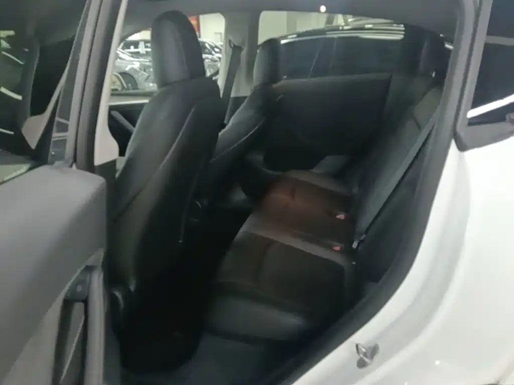 Tesla Model Y 2021 2021 Standard Range Rear-Wheel Drive
