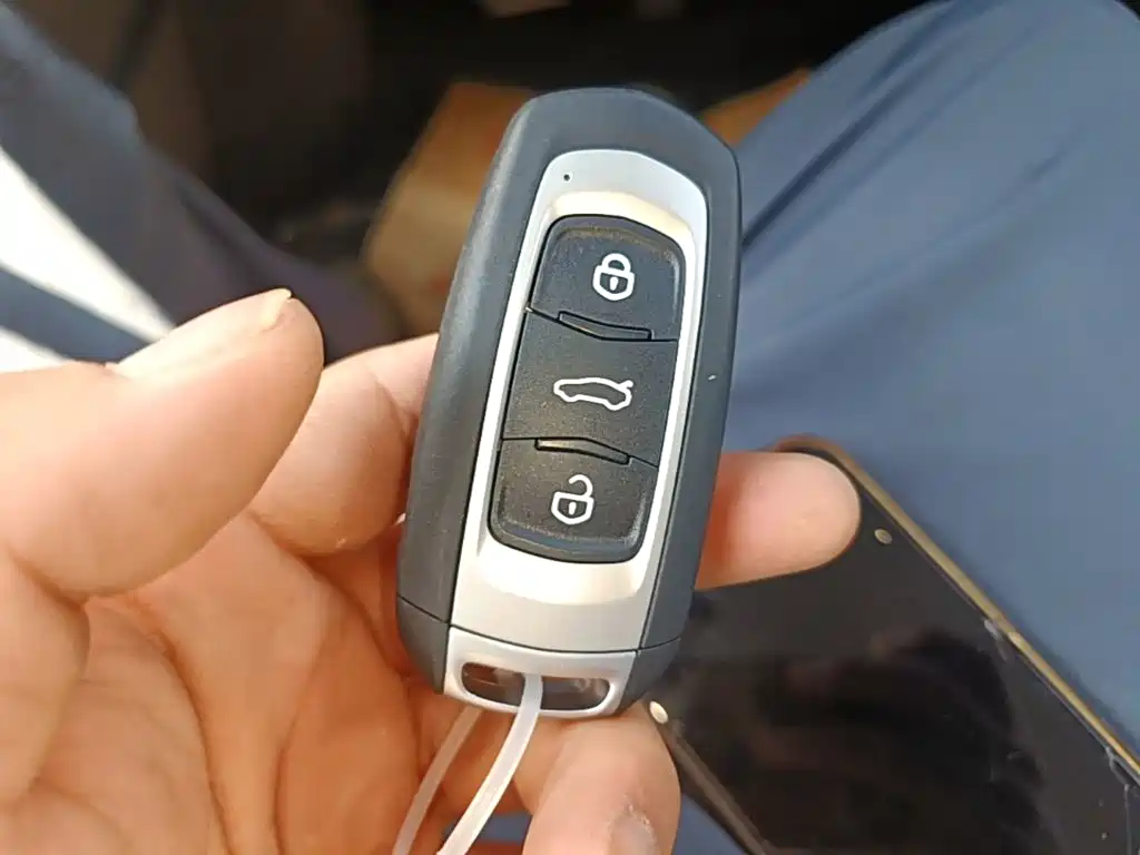 Geely Galaxy Panda 2026 2025 Panda mini 210km Vitality Bear