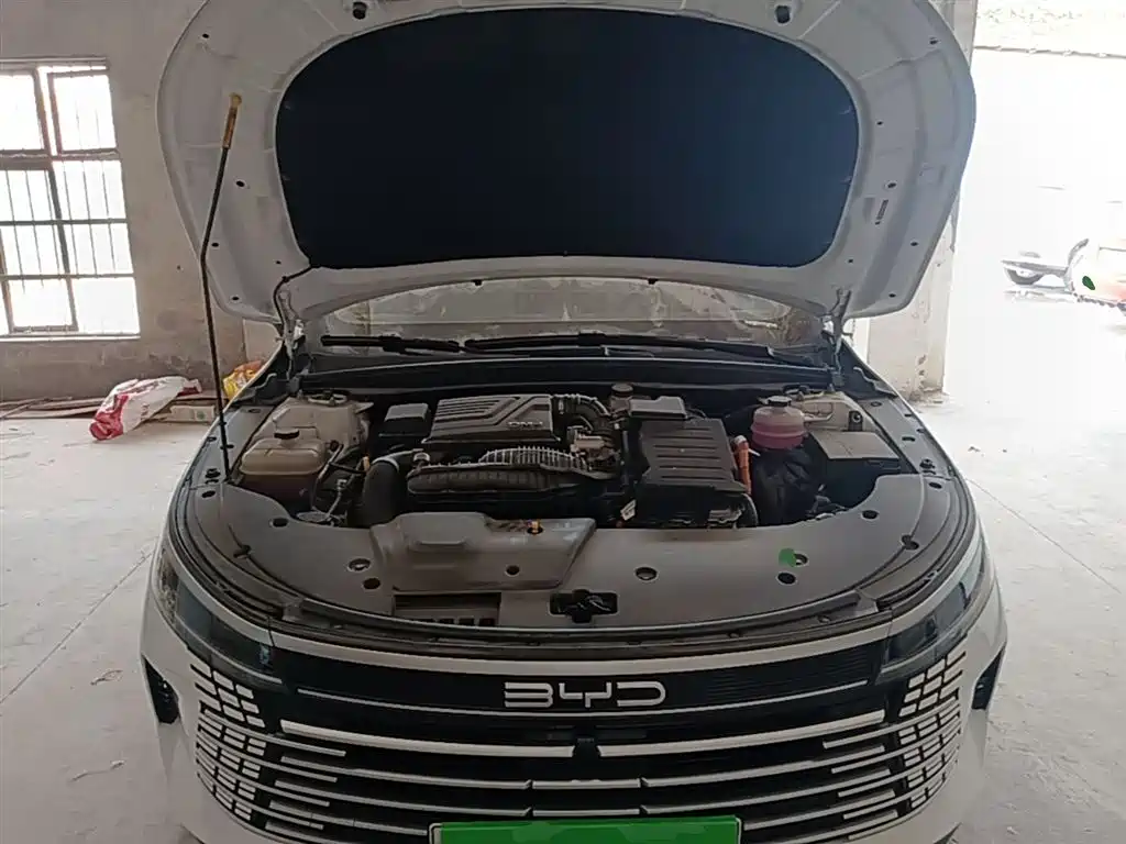 BYD Destroyer 05 2024 Glory Edition DM-i 55KM Luxury фото 20
