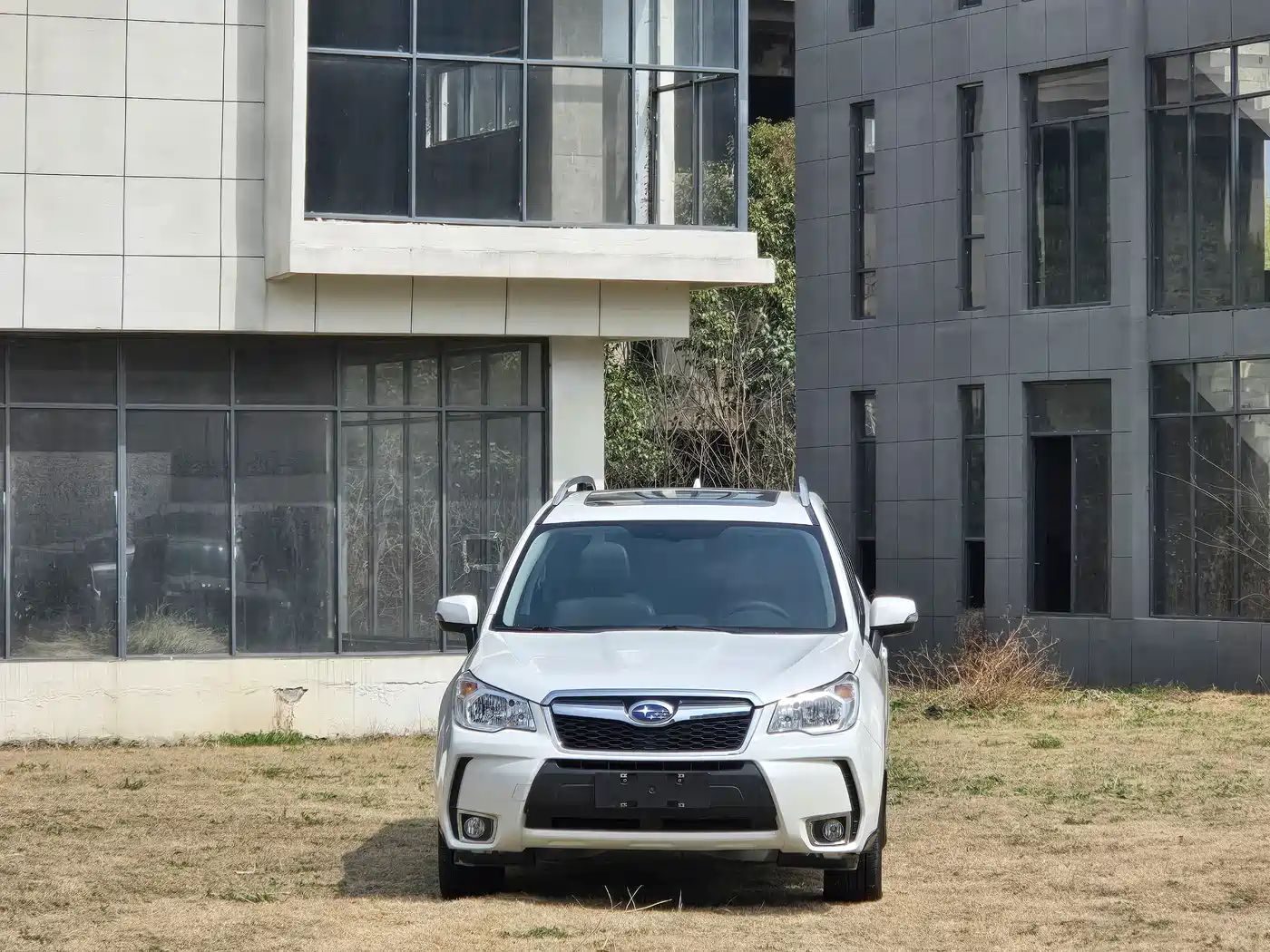 Subaru Forester 2015 2.0i Special Commemorative Edition фото 2