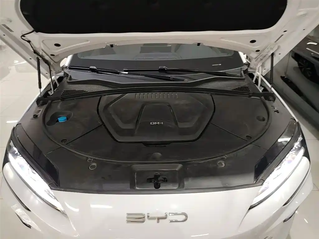 BYD Song PLUS PHEV 2023 Champion Edition DM-i 110KM Flagship PLUS фото 20