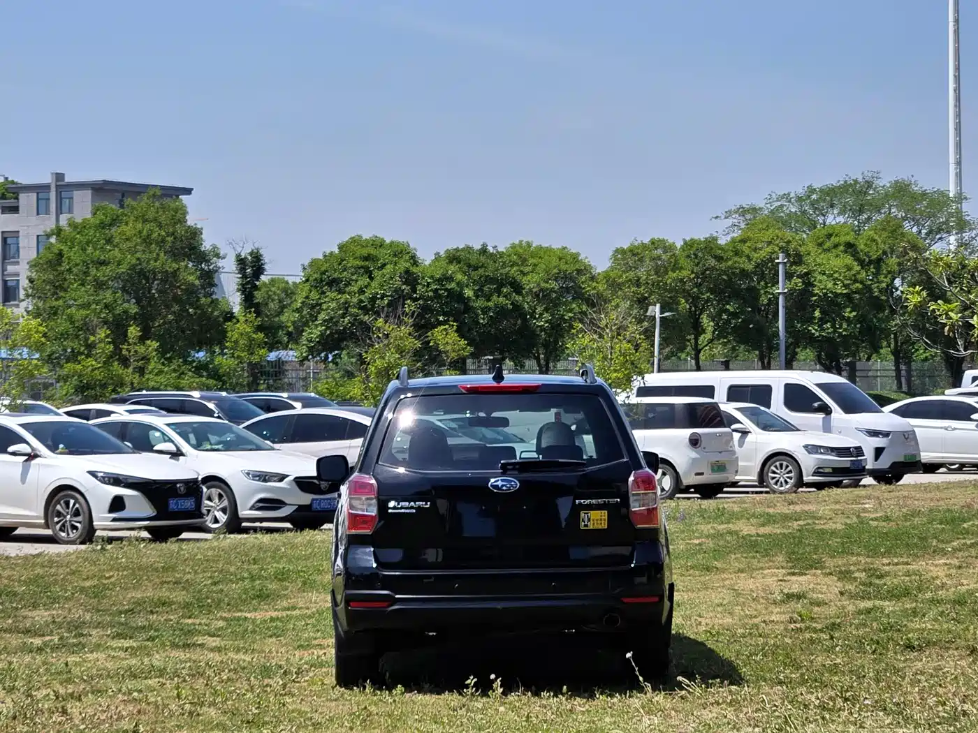 Subaru Forester 2014 2.5i Automatic Elite Edition фото 5