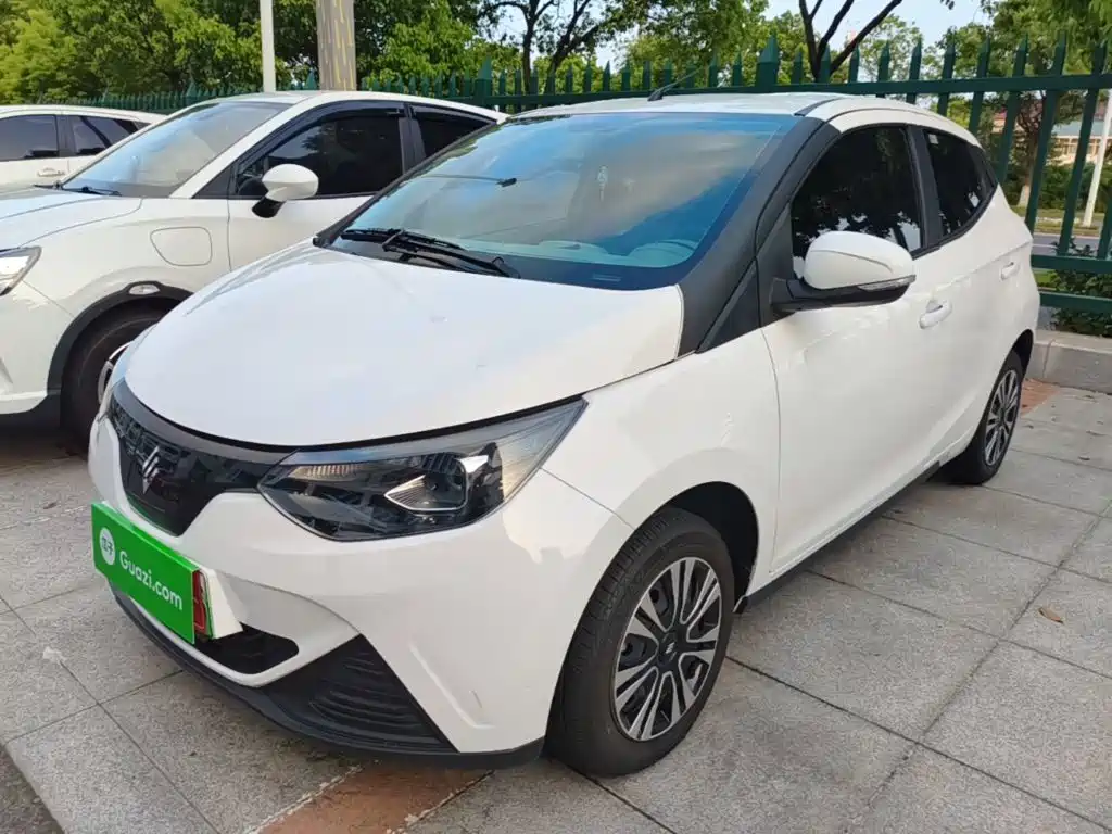 JMCG New Energy Little Kirin 2025 2024 201km Comfort Model