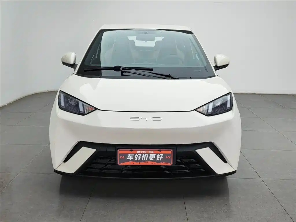 BYD Seagull 2023 Vitality Edition фото 3