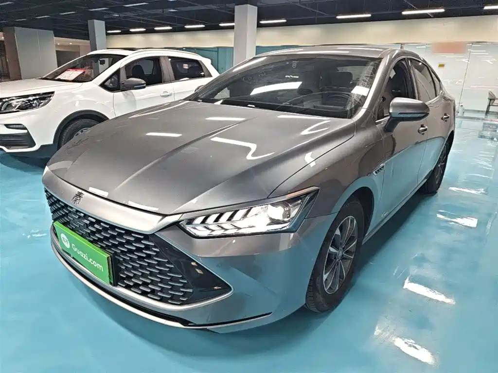 BYD Qin PLUS 2024 Glory Edition DM-i 55KM Leading