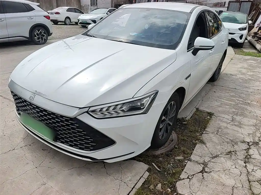 BYD Qin PLUS 2024 Glory Edition DM-i 55KM Leading