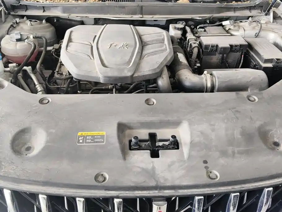 Hongqi HS5 2023 2.0T 4WD Flag Leader Pro фото 10