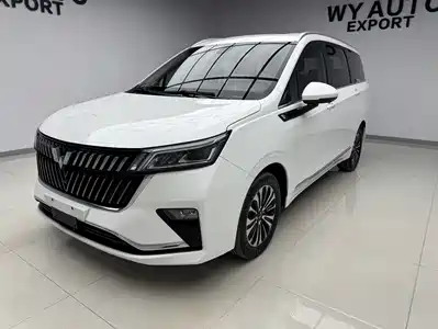 Wuling Jiachen