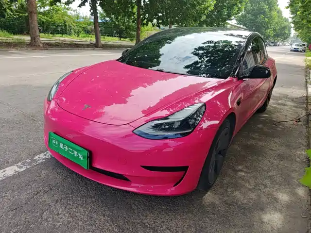 Tesla Model 3 2021