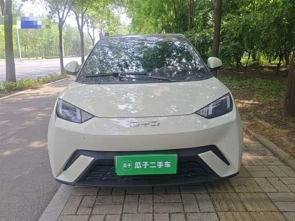 BYD Seagull 2024 Glory Edition 305km Freedom Edition фото 3