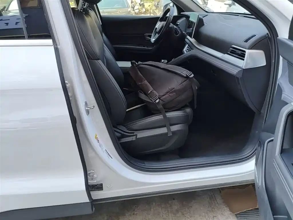 BYD Song Pro New Energy 2019 DM 1.5T 4WD Performance Luxury фото 25