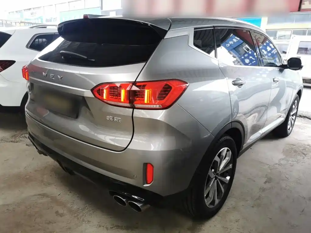 Фото 7 - WEY VV6