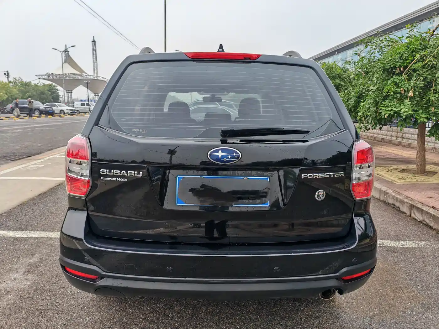 Subaru Forester 2014 2.0i Automatic Comfort Edition фото 4