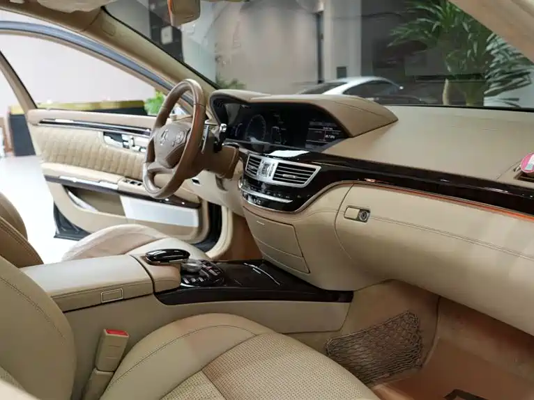 Mercedes-Benz S-Class AMG 2010 AMG S 65 фото 14