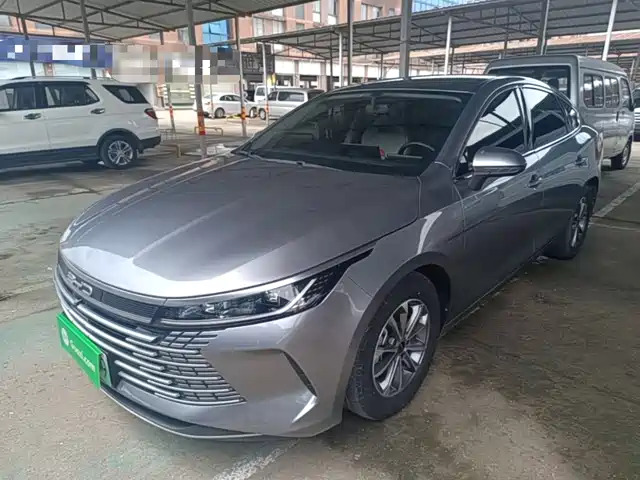 BYD Destroyer 05 2024