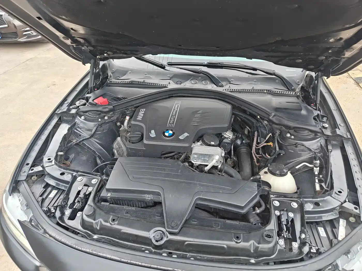 BMW 3 Series (Import) 2013 320i Sport Design Package фото 56