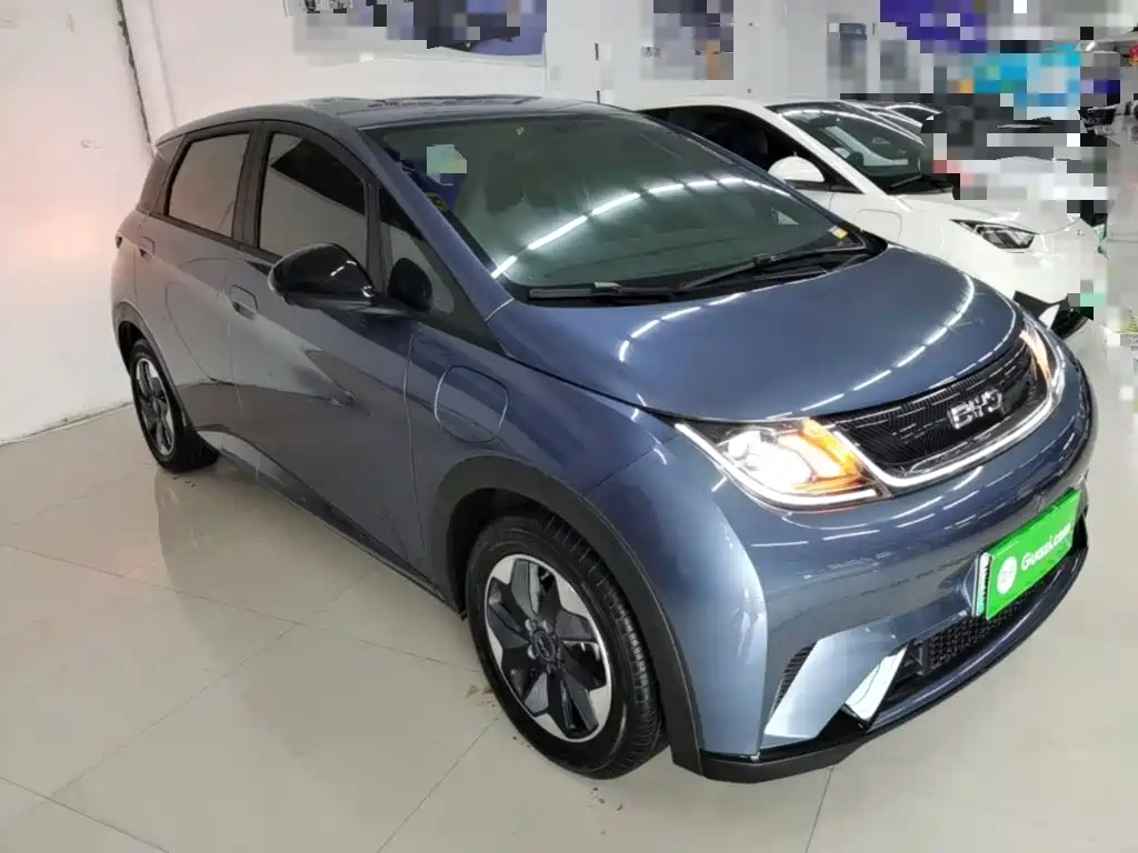 BYD Dolphin 2026 2025 420km Freedom Edition