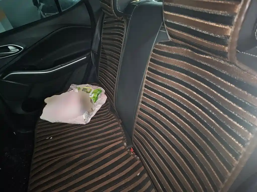 JAC Motors Jiyue X4 2020 2020 1.5T CVT Elite