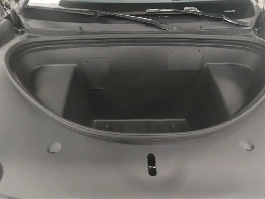 BYD SEA LION 06 NEW ENERGY