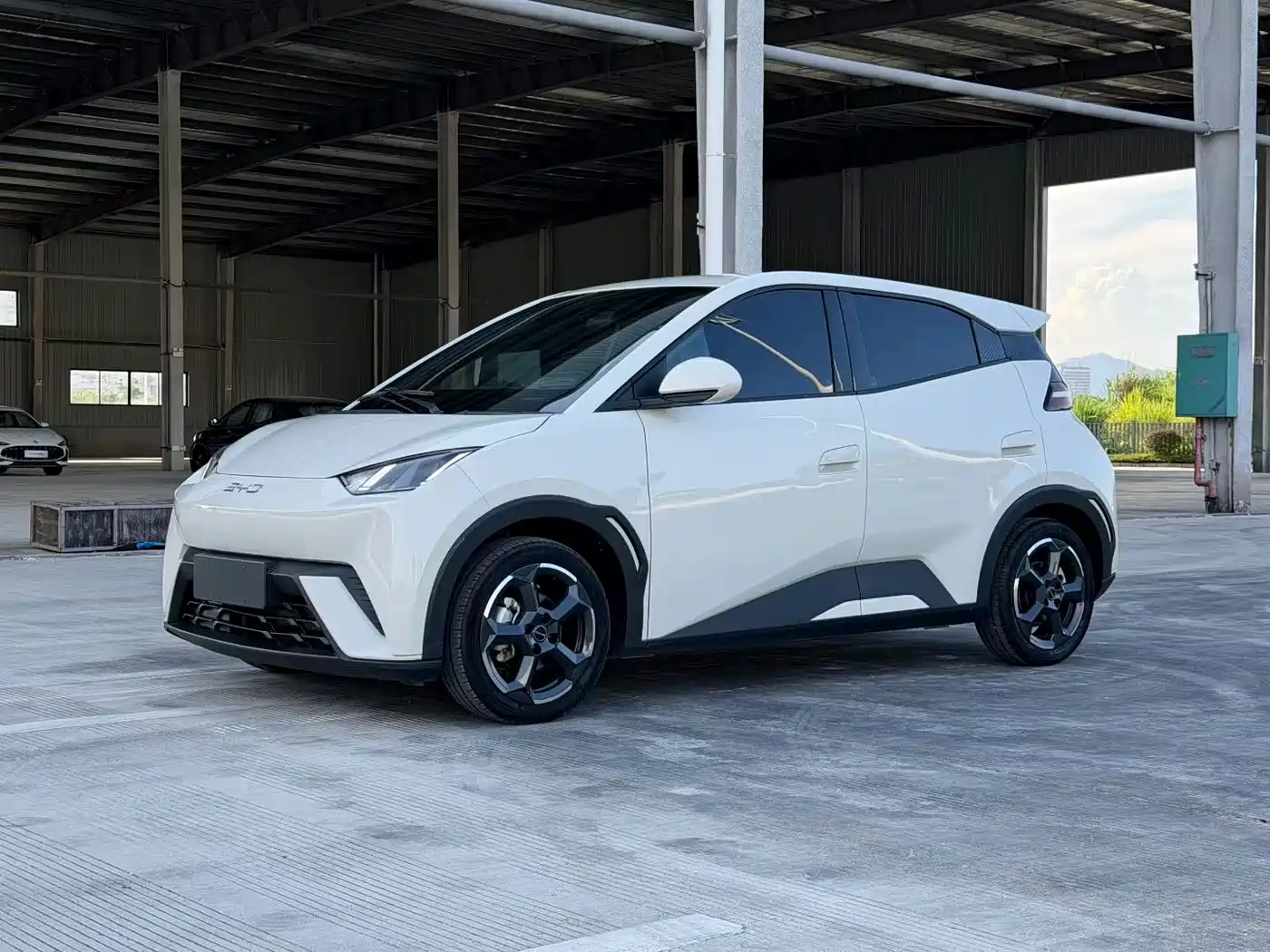 BYD Seagull 2024 Glory Edition 305km Freedom Edition