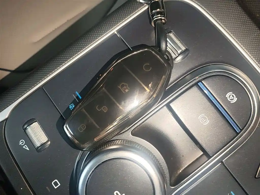 BYD Destroyer 05 2024 Glory Edition DM-i 55KM Luxury фото 9
