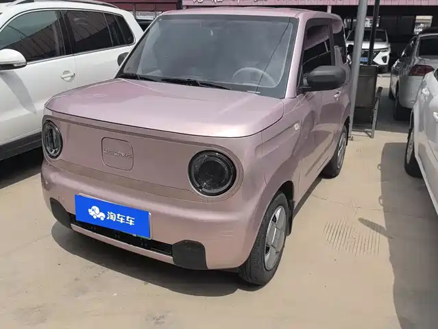 Geely Galaxy Panda 2024