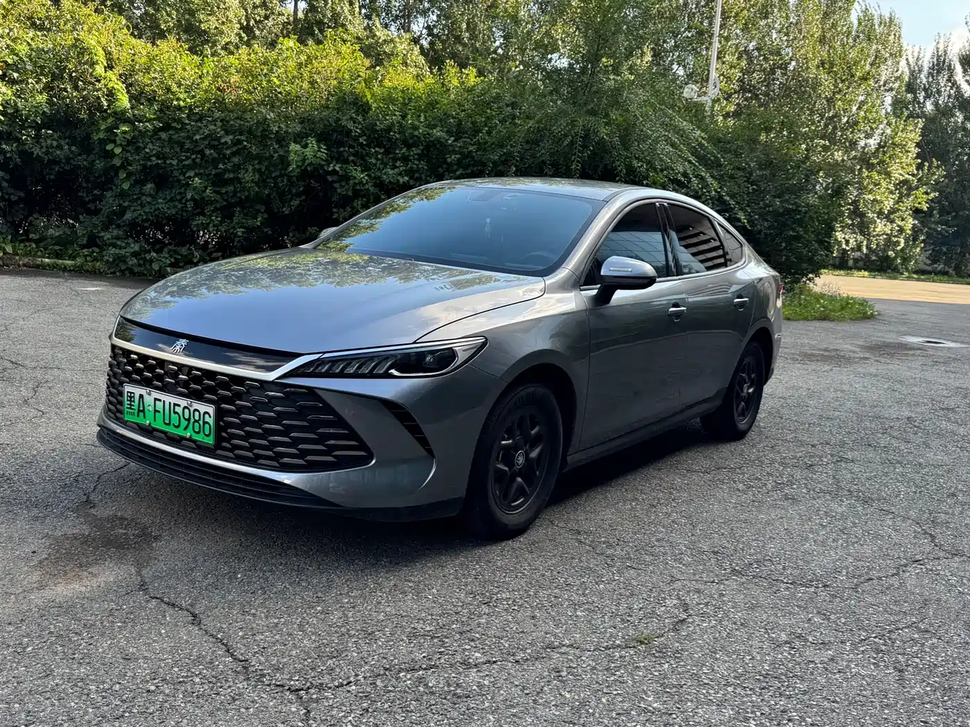BYD Qin PLUS 2025