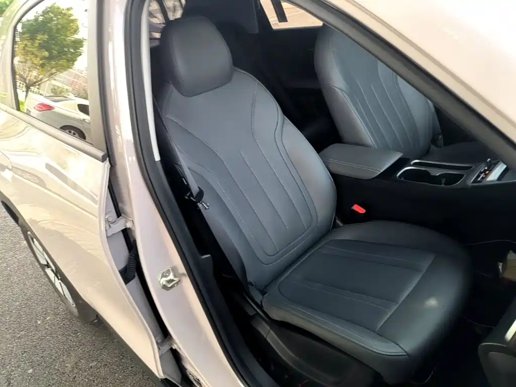 Geely Galaxy Starry Wish 2026 2026 Edition 310km Youth Version