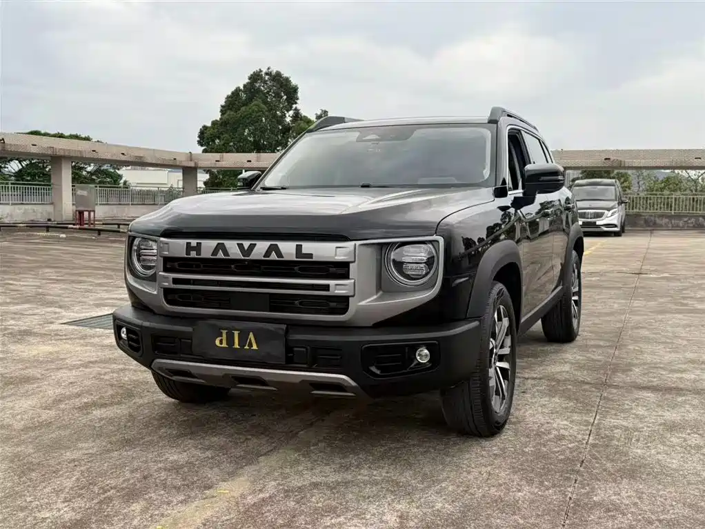 HAVAL BIG DOG
