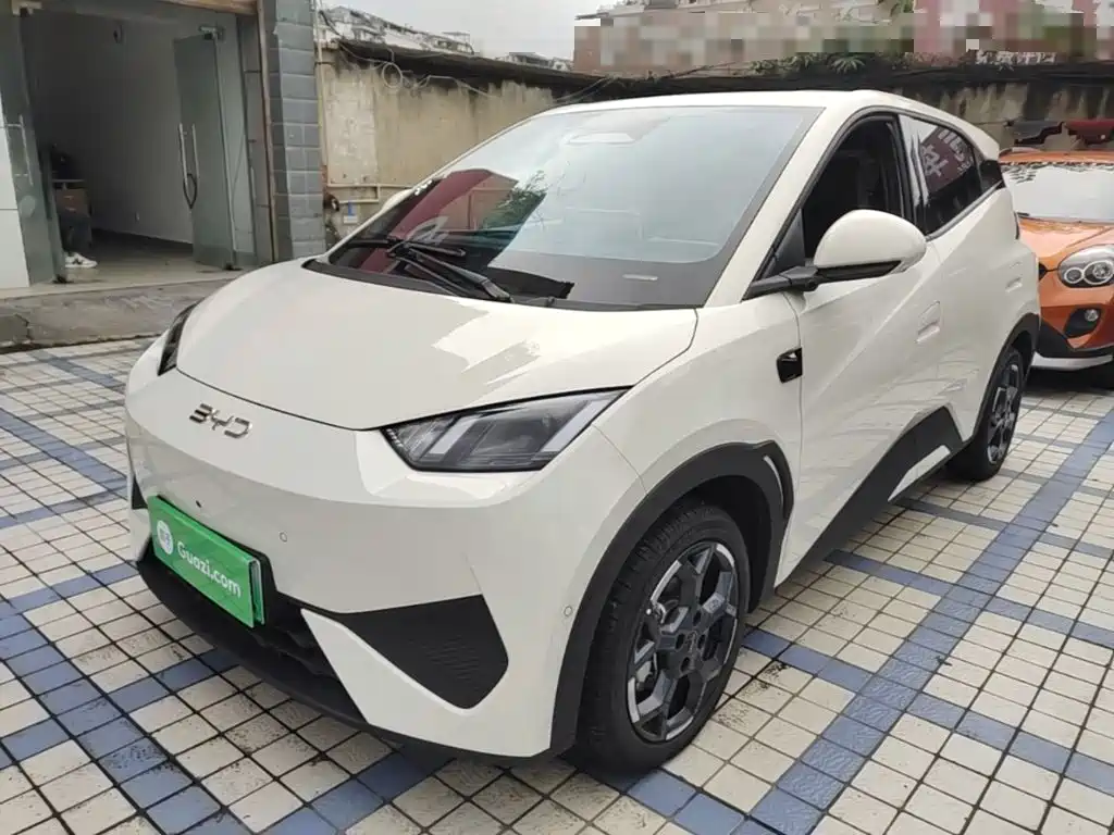 BYD Seagull 2026 2025 Smart Drive Edition 305km Freedom Version
