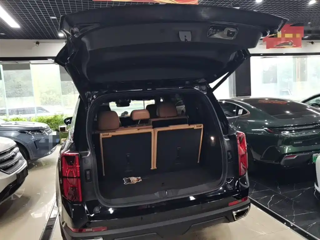 GAC Trumpchi Trumpchi GS8 2024 Navigator Series 2.0TGDI 2WD Luxury Smart Connect Edition фото 19