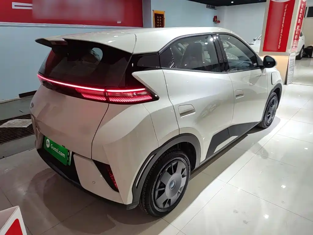 BYD Seagull 2026 2025 305km Vitality
