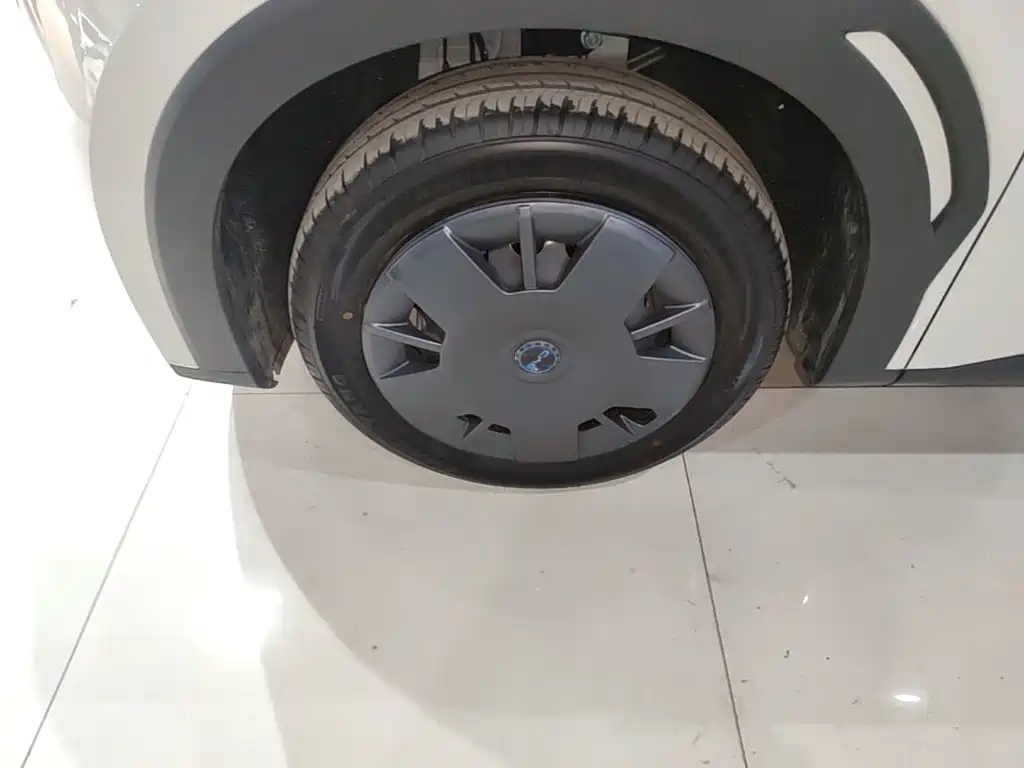 BYD Seagull 2026 2025 305km Vitality