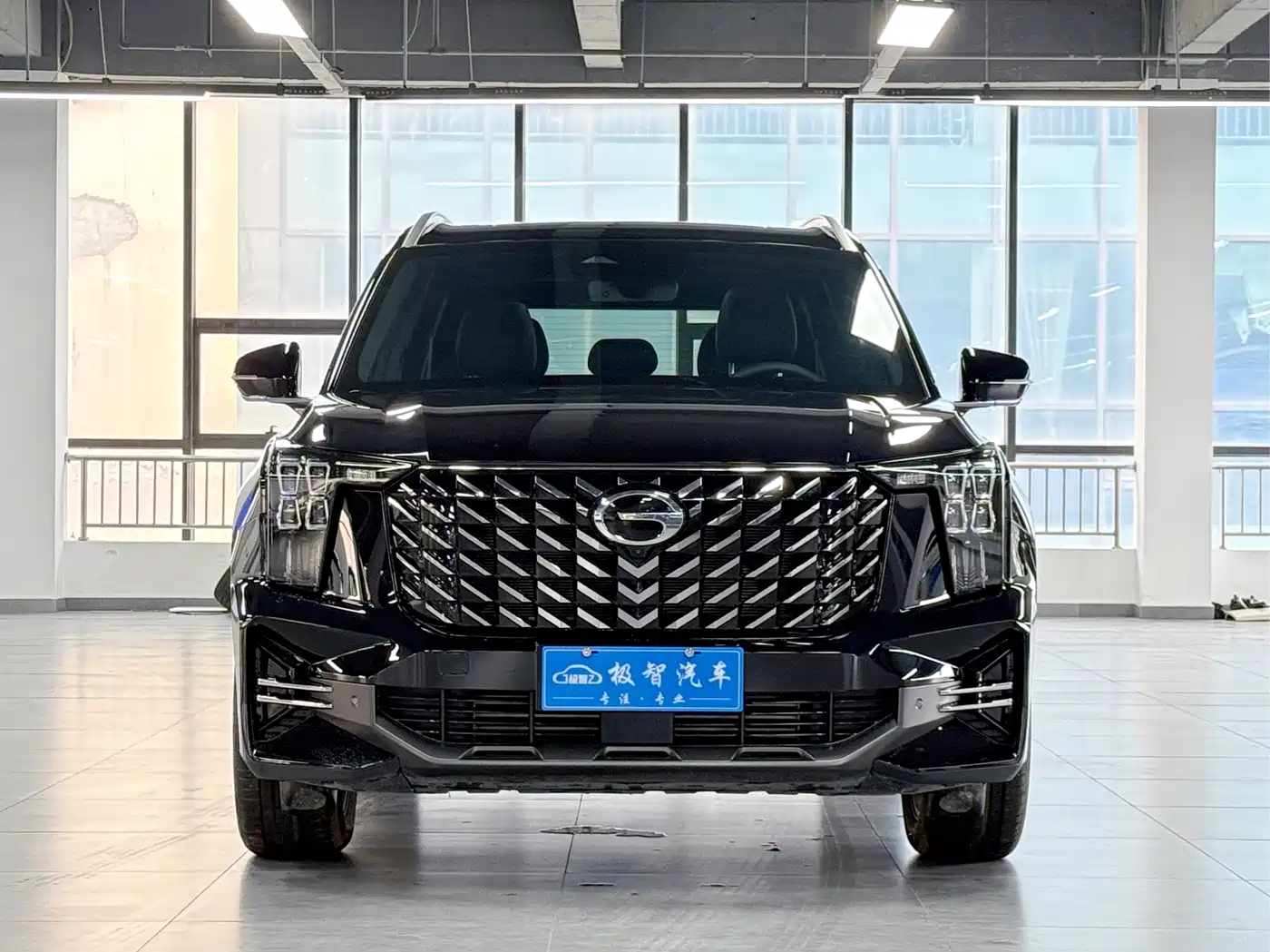 GAC Trumpchi Trumpchi GS8 2025 Pilot Series 2.0TGDI 2WD Luxury Edition 5-seater фото 2