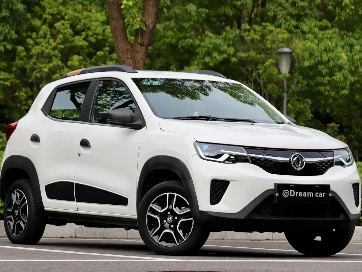 Dongfeng Yipai Dongfeng Nano EX1 2022 2022 PRO Joy Comfort Edition