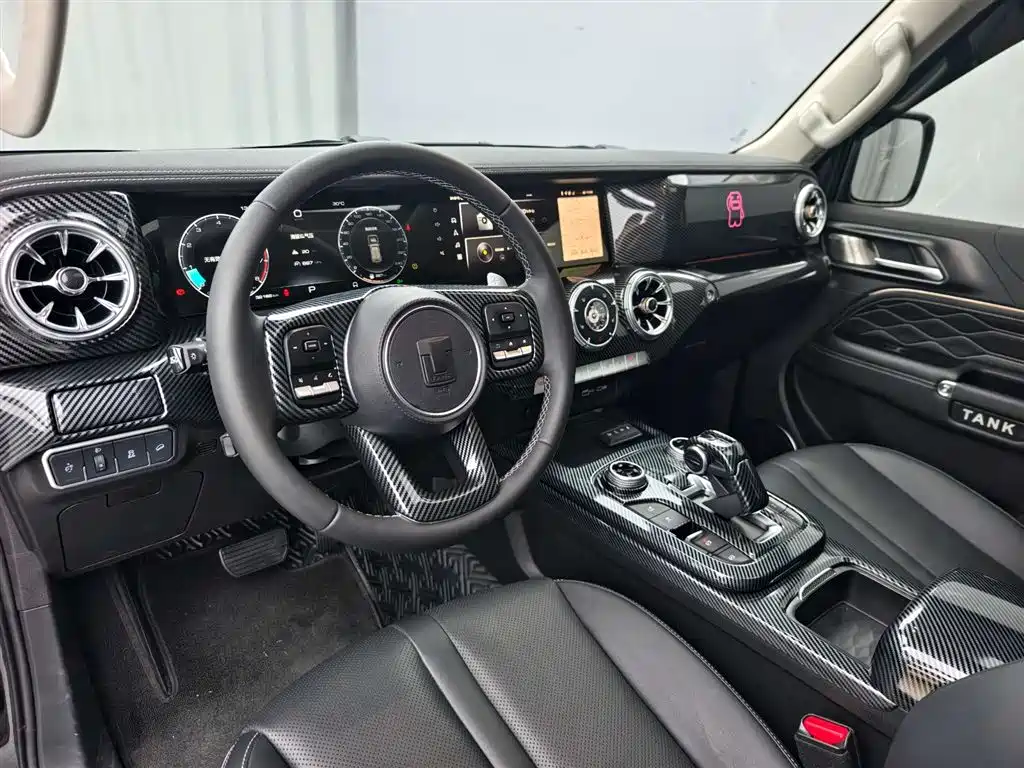 TANK 300
