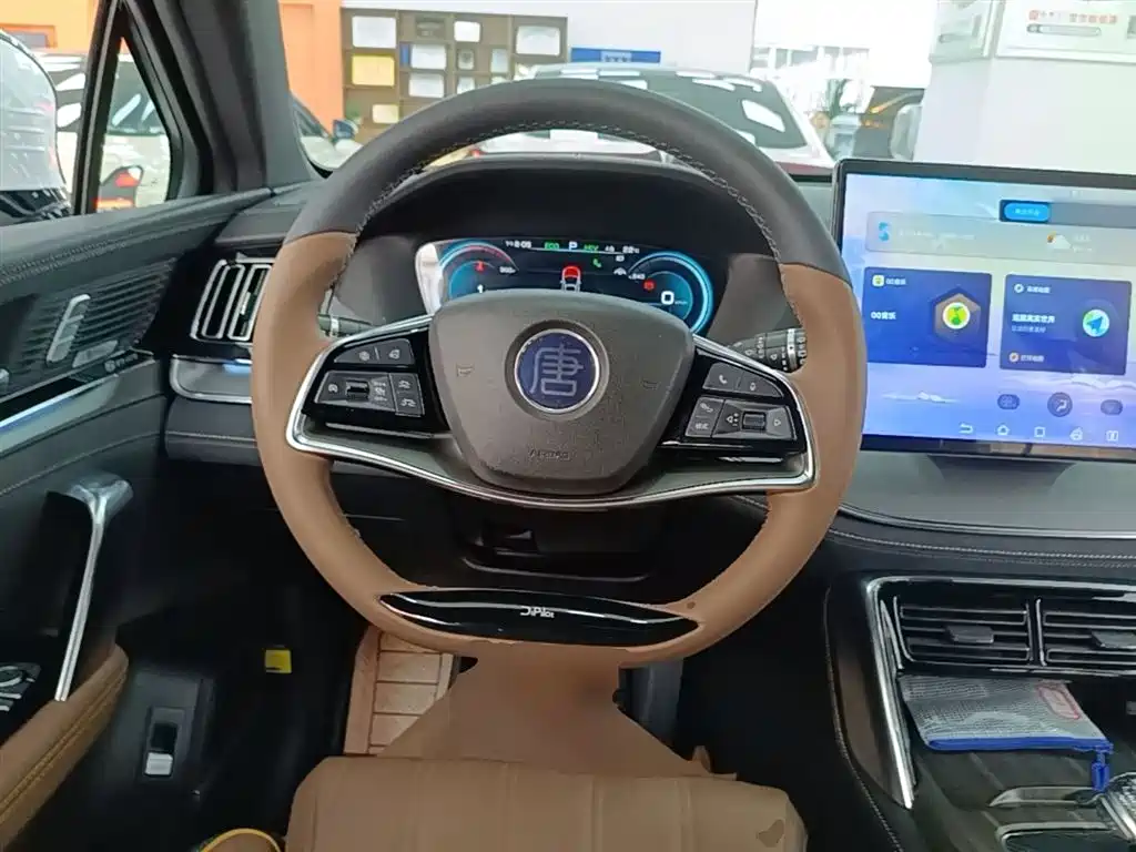 BYD Tang New Energy 2021 DM-i 112KM Honor фото 11