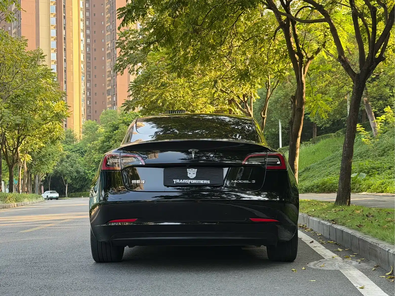 Фото 5 - Tesla Model 3