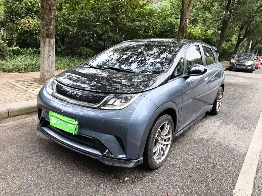 Фото 2 - BYD Dolphin