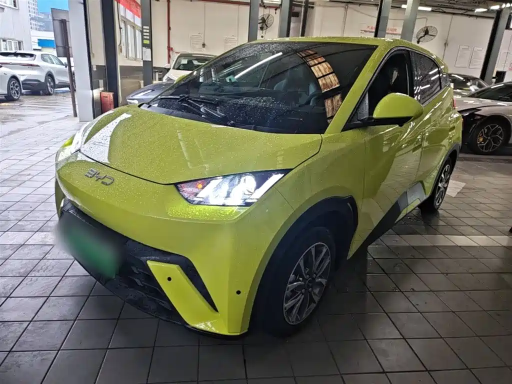 BYD Seagull 2024 Glory Edition 305km Vitality Edition фото 2