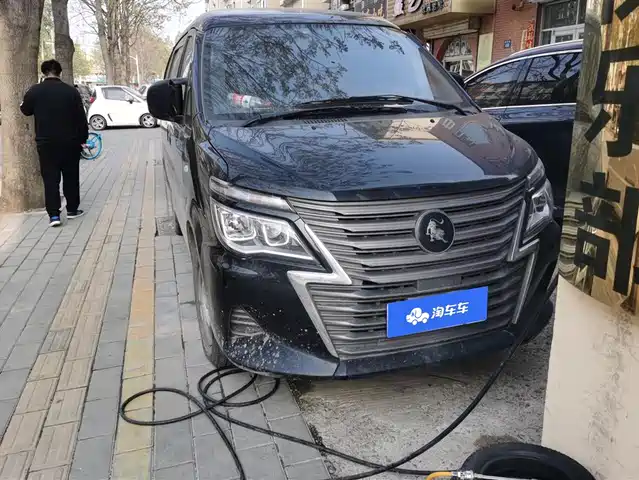 dongfeng lingzhi